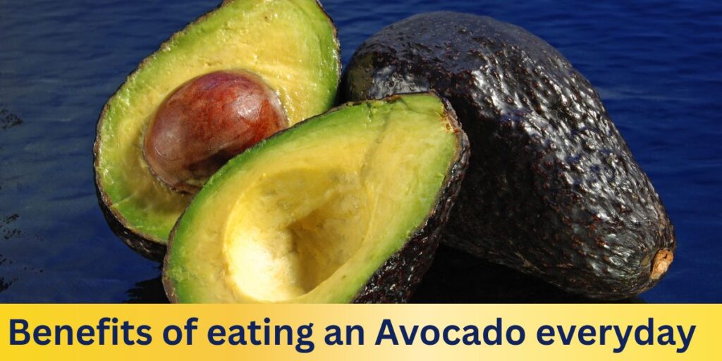Avocado for skin