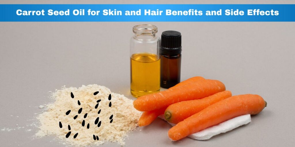 Carrot Seed Oil for Skin and Hair Benefits, Side Effects