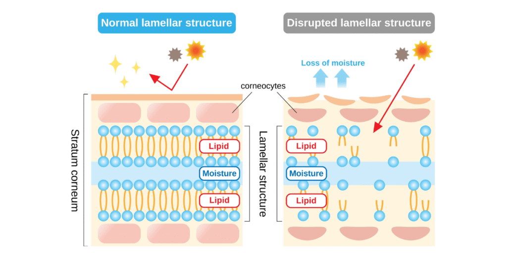 Simple Face Wash: Water is Enough
