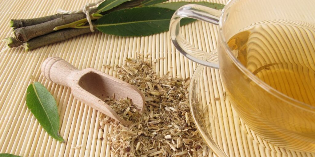 Sources of Salicylic Acid